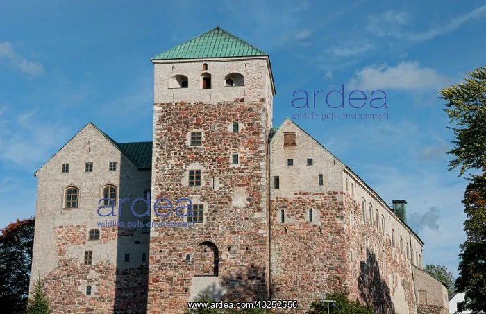 : Turku, Finland, ancient Turun Linna Castle : Turku, Finland, ancient Turun Linna Castle