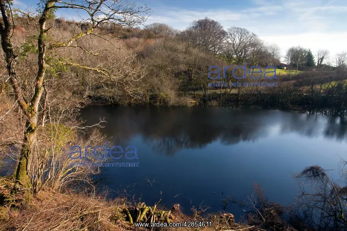 : Turlough lake : Turlough lake