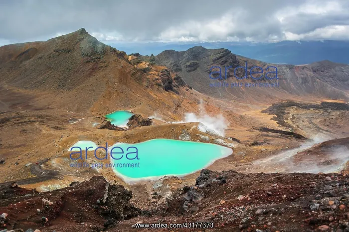 : Turquoise Crater Lake, Blue Lake, volcano Mount : Turquoise Crater Lake, Blue Lake, volcano Mount