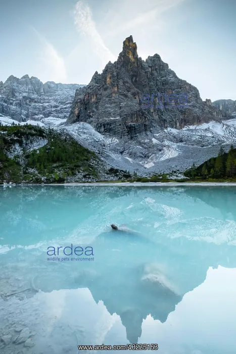 : Turquoise green Sorapis lake, Lago di Sorapis with : Turquoise green Sorapis lake, Lago di Sorapis with