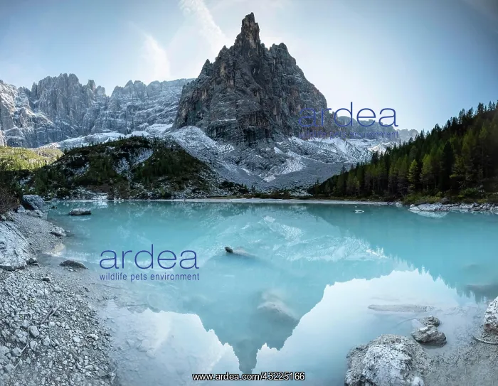 : Turquoise green Sorapis lake, Lago di Sorapis with : Turquoise green Sorapis lake, Lago di Sorapis with