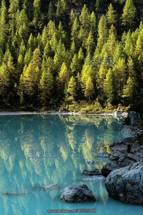 : Turquoise-green Sorapis Lake, Lago di Sorapis with : Turquoise-green Sorapis Lake, Lago di Sorapis with