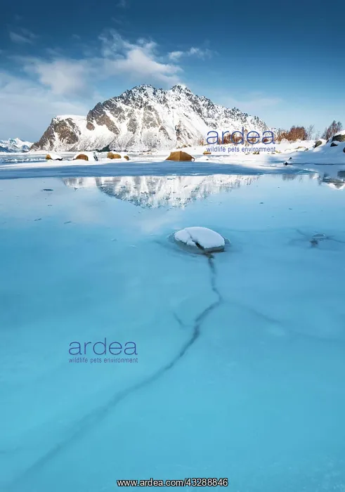  : Turquoise lagoon with ice floes, behind it snow-covered
