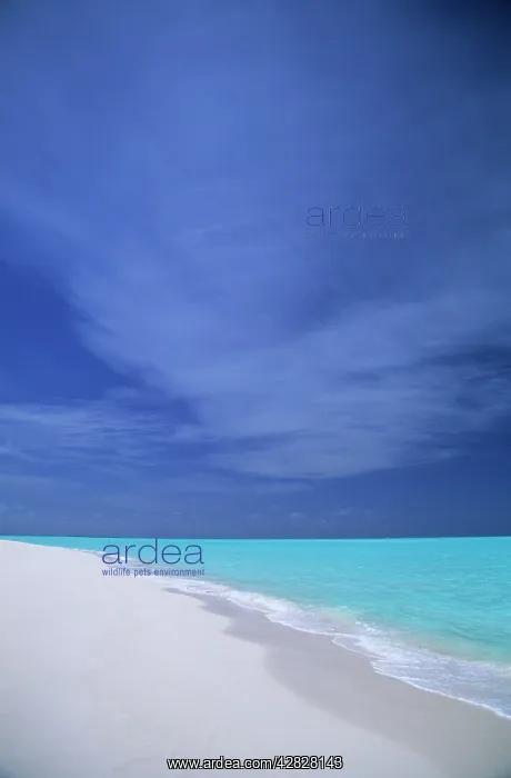 : Turquoise Sea, Blue Sky and White Sand : Turquoise Sea, Blue Sky and White Sand