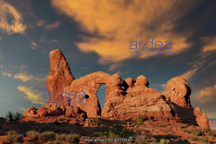 : Turret Arch rock formation, Arches National Park : Turret Arch rock formation, Arches National Park