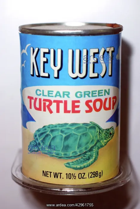  : Can of Turtle Soup
