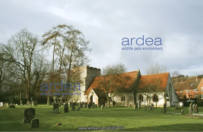 : Turville Church, Turville : Turville Church, Turville