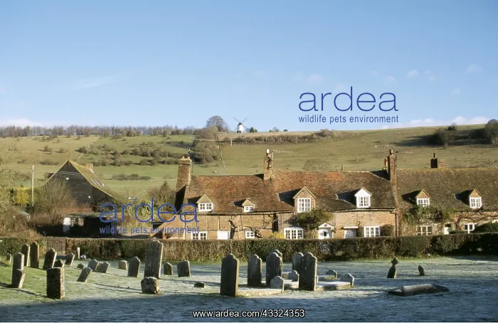  : Turville village and windmill from the churchyard