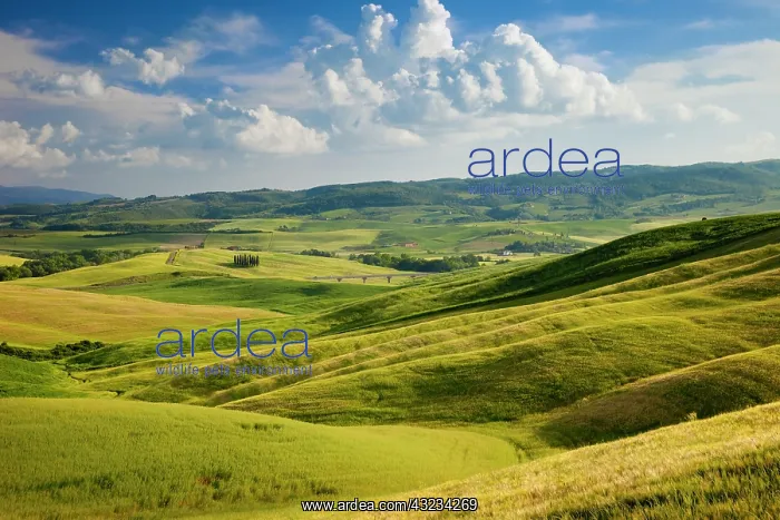 : Tuscan countryside near San Quirico in the : Tuscan countryside near San Quirico in the