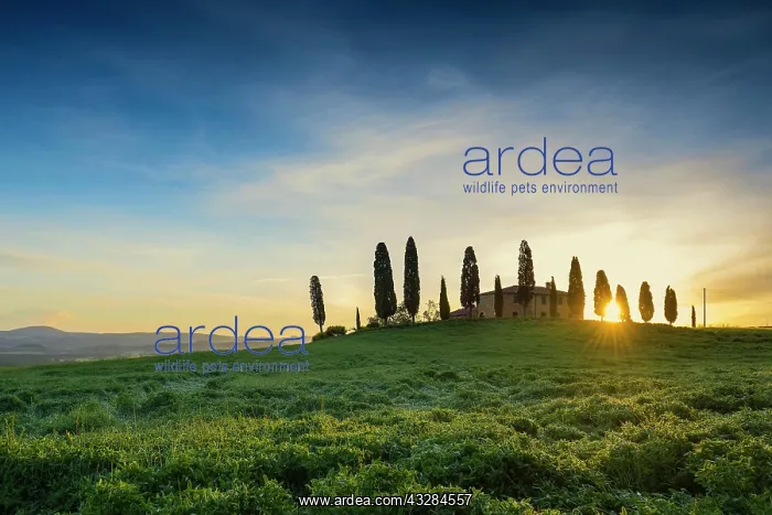 : Tuscany landscape with cypresses and farmstead at : Tuscany landscape with cypresses and farmstead at
