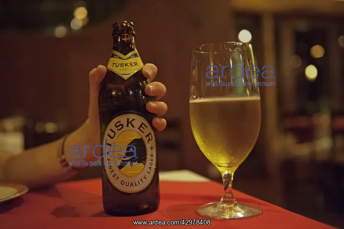 : Tusker Beer : Tusker Beer