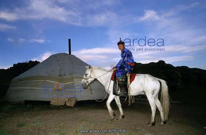: Tuvinian in traditional clothes on a horse wearing : Tuvinian in traditional clothes on a horse wearing