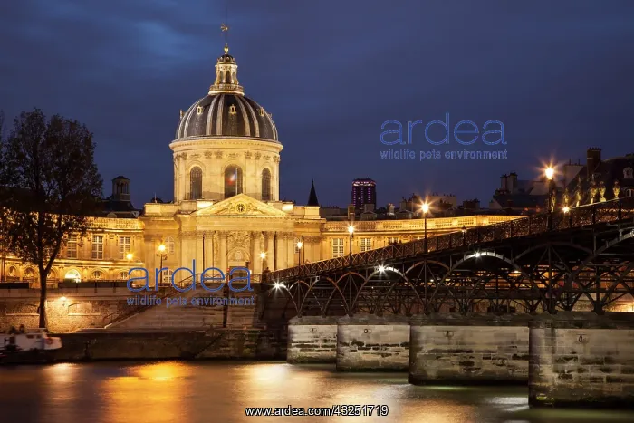 : Twilight over Academie Francaise and River : Twilight over Academie Francaise and River