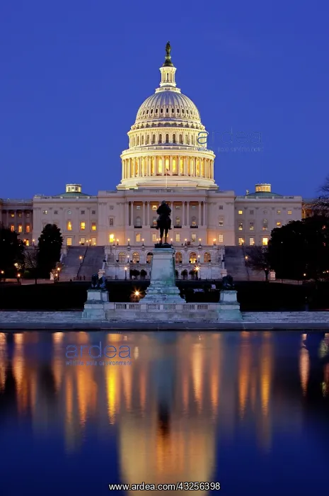  : Twilight below the US Capitol Building and