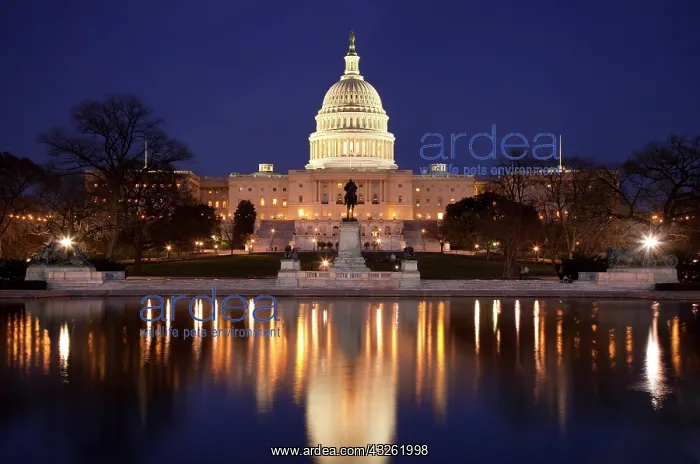 : Twilight below the US Capitol building : Twilight below the US Capitol building