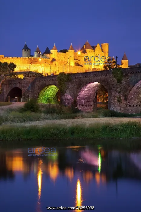 : Twilight over Carcassonne and river Aude : Twilight over Carcassonne and river Aude