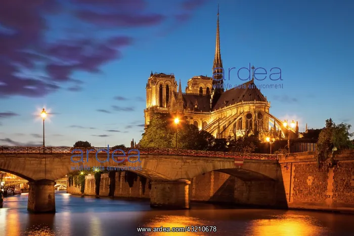 : Twilight over Cathedral Notre Dame and River : Twilight over Cathedral Notre Dame and River