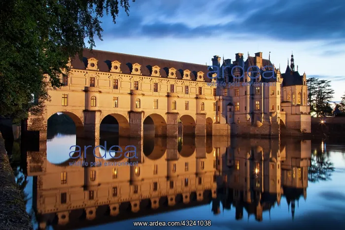 : Twilight over Chateau Chenonceau and River : Twilight over Chateau Chenonceau and River