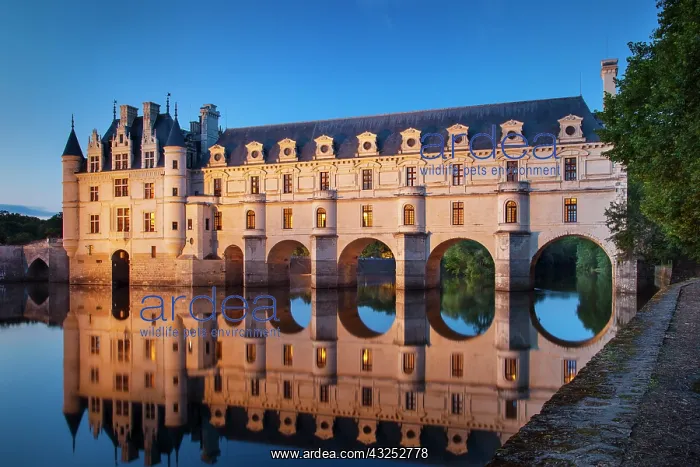 : Twilight over Chateau Chenonceau and River : Twilight over Chateau Chenonceau and River
