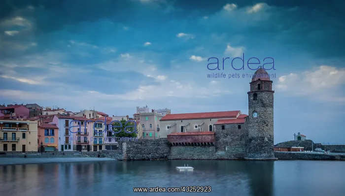 : Twilight over Eglise Notre Dame des Anges : Twilight over Eglise Notre Dame des Anges