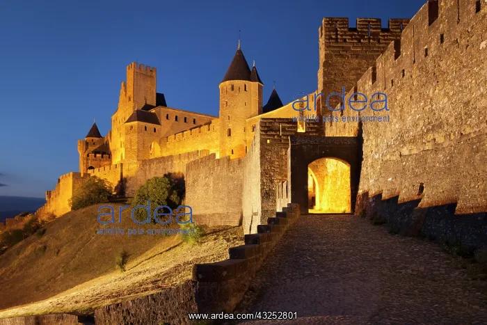 : Twilight at the entry gate to La Cite Carcassonne : Twilight at the entry gate to La Cite Carcassonne