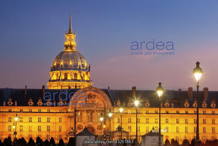 : Twilight at Hotel les Invalides, veterans : Twilight at Hotel les Invalides, veterans