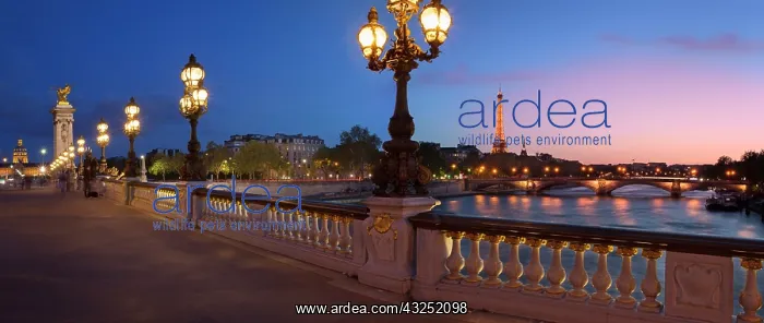 : Twilight at Pont Alexandre III Bridge over : Twilight at Pont Alexandre III Bridge over