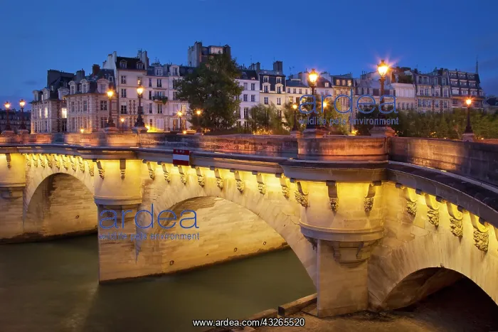 : Twilight over Pont Neuf, River Seine, and : Twilight over Pont Neuf, River Seine, and