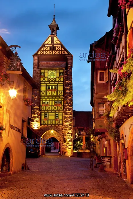 : Twilight in Riquewihr, along the Wine Route : Twilight in Riquewihr, along the Wine Route
