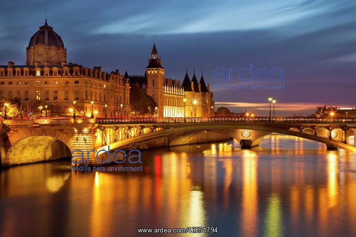 : Twilight over River Seine below the Concierge : Twilight over River Seine below the Concierge