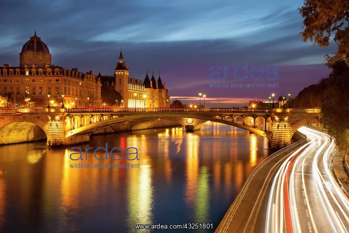 : Twilight over River Seine below the Concierge : Twilight over River Seine below the Concierge