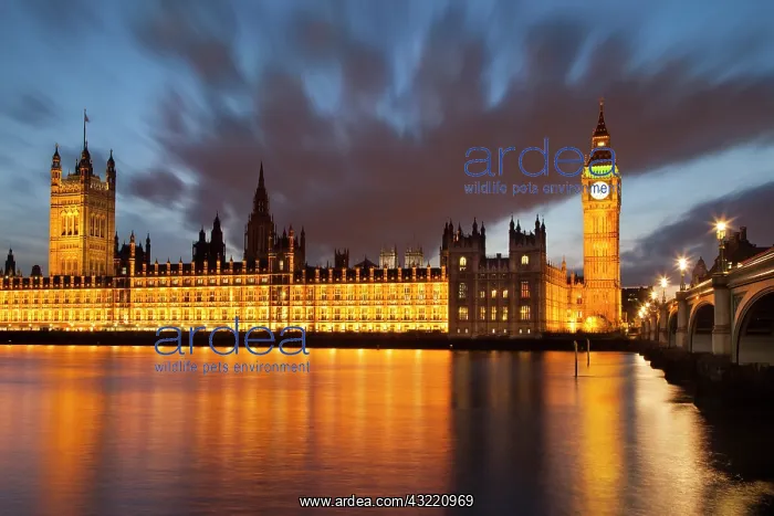 : Twilight over River Thames, the Houses of : Twilight over River Thames, the Houses of