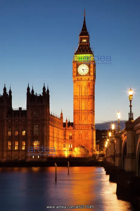 : Twilight over River Thames, the Houses of : Twilight over River Thames, the Houses of