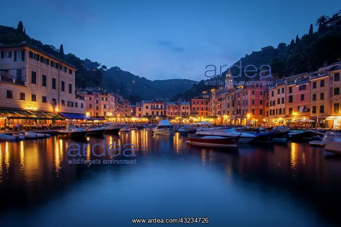 : Twilight over the seaport village of Portofino : Twilight over the seaport village of Portofino
