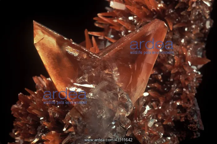: Twin Calcite Crystals : Twin Calcite Crystals