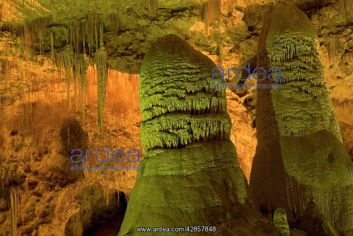 : Twin Domes - amazing cave formations including : Twin Domes - amazing cave formations including