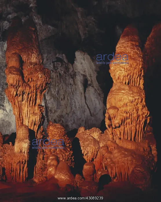 : Twin Domes, Carlsbad Caverns : Twin Domes, Carlsbad Caverns
