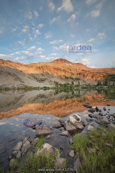 : Twin Lakes and Snowyside Peak, Alice-Toxaway Lakes : Twin Lakes and Snowyside Peak, Alice-Toxaway Lakes