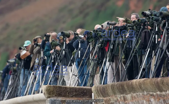  : Twitchers  /  Birdwatchers - with telescopes and