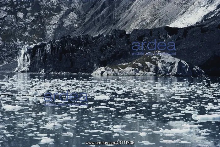 : Tyeen Glacier : Tyeen Glacier