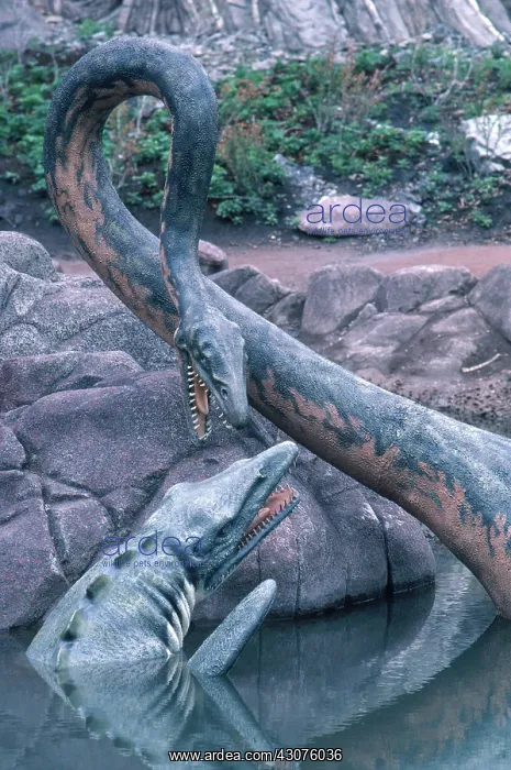 : Tylosaurus and Elasmosaurus : Tylosaurus and Elasmosaurus
