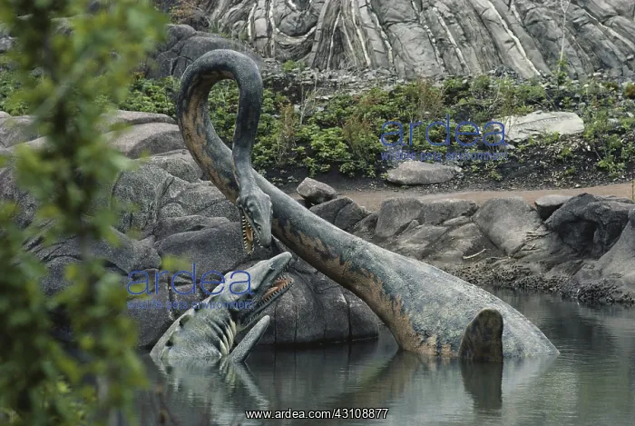  : Tylosaurus and Elasmosaurus