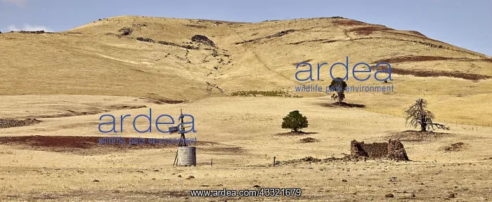 : Typical central Victoria landscape in mid summer : Typical central Victoria landscape in mid summer