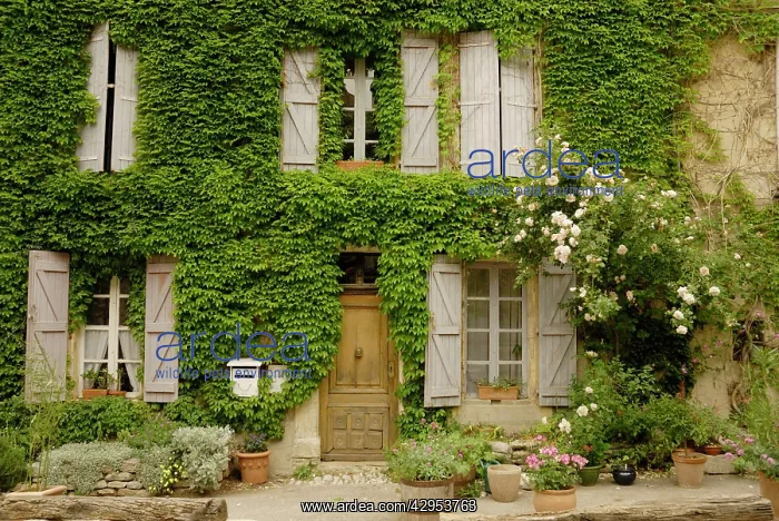 : Typical cottage in Luberon : Typical cottage in Luberon