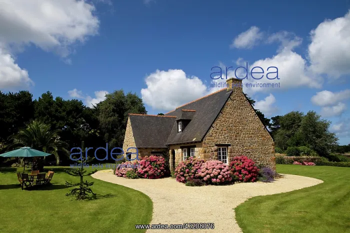 : A typical house on the Ile de Brehat, Bretagne : A typical house on the Ile de Brehat, Bretagne