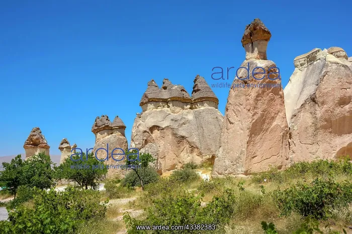 : Typical and inhabited rock formations in the Cappadocia : Typical and inhabited rock formations in the Cappadocia