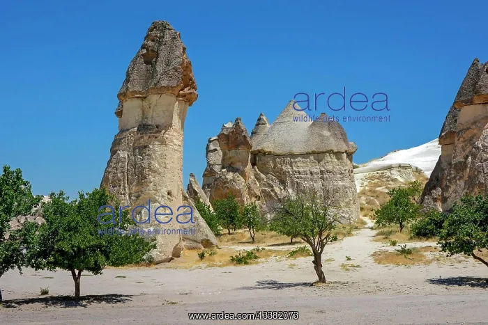 : Typical and inhabited turkish rock formations in : Typical and inhabited turkish rock formations in