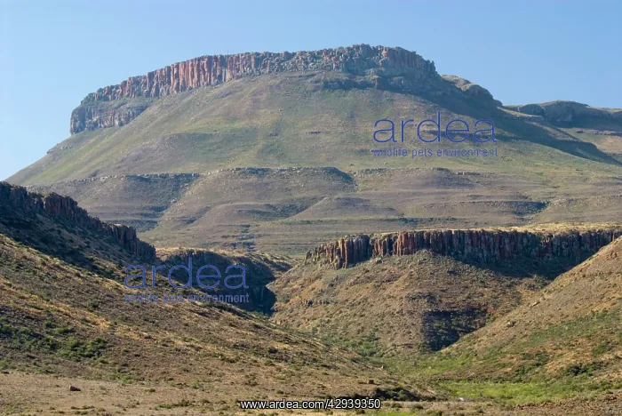 : Typical Karoo scenery, showing the dolerite sills : Typical Karoo scenery, showing the dolerite sills