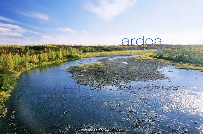 : A typical minor river in semi-tundra in autumn : A typical minor river in semi-tundra in autumn