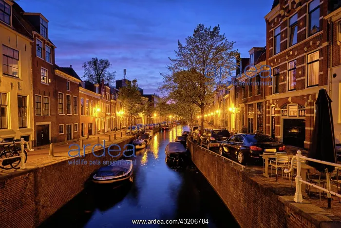 : Typical Netherlands view, canal with boats and h : Typical Netherlands view, canal with boats and h